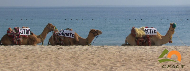 CFACT Climate camels in Doha stop climate hype