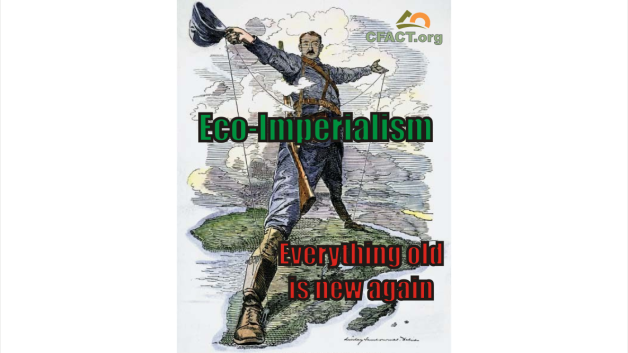 http://www.cfact.org/wp-content/uploads/2013/03/Eco-Imperialism-old-new-again-ORG-628x353.png