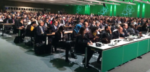 COP 19 Plenary