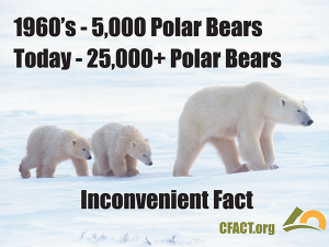 COP 21 slides polar bears