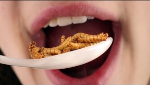 http://www.cfact.org/wp-content/uploads/2016/02/Eat-insects-296x167.jpg