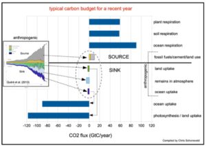 The Global Carbon Budget: Cute numbers, feigned confidence, highly questionable -- Part I 1