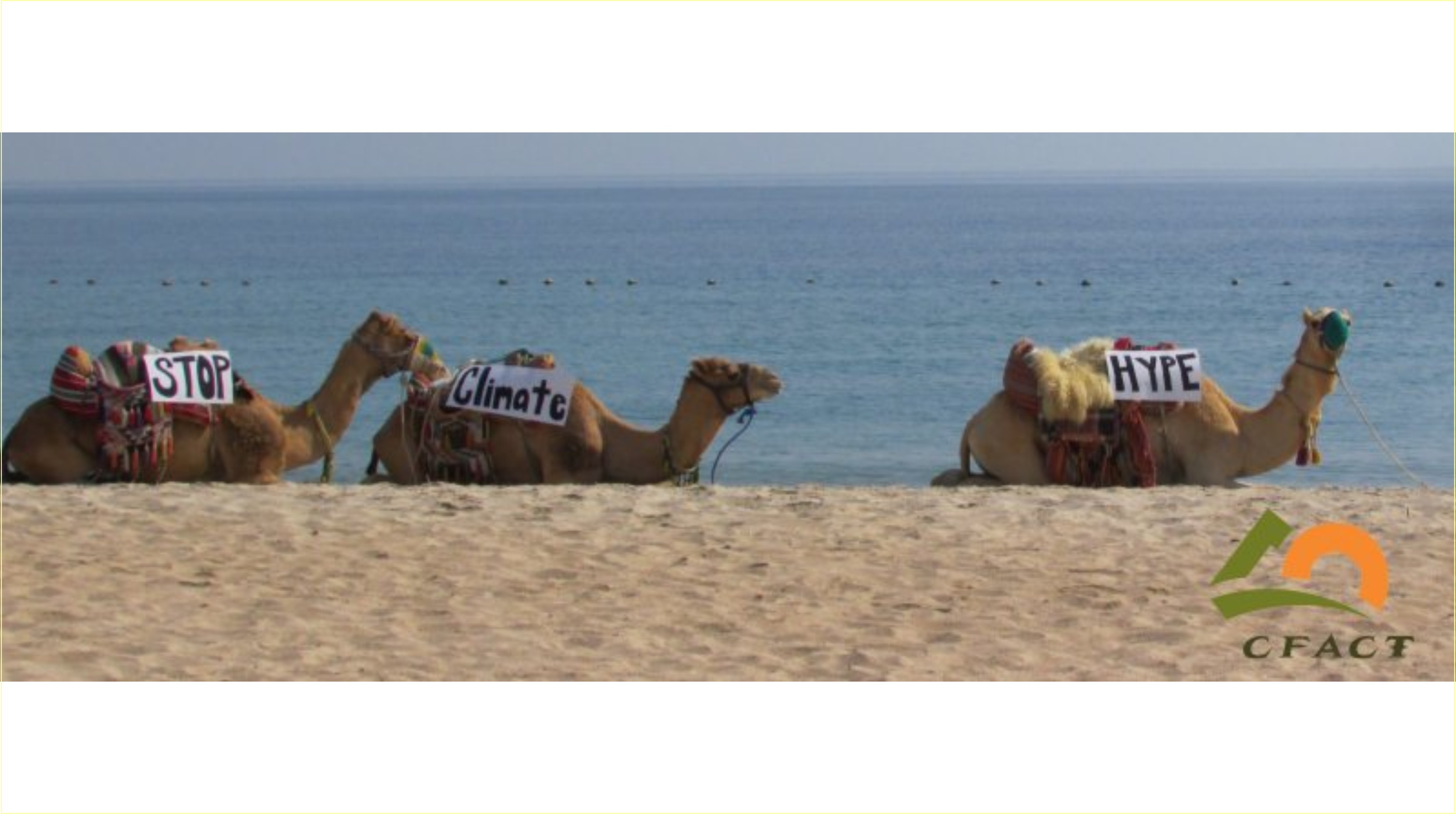 The climate camel – going nowhere, uncomfortably 3