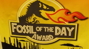 COP 19 fossil of the day award