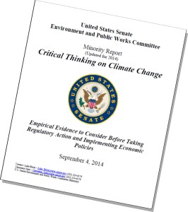 Senate critical thinking report cover 2