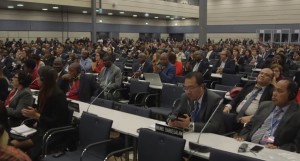 UNFCCC plenary session Bonn 2015