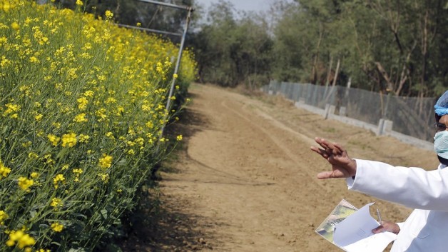 https://www.cfact.org/wp-content/uploads/2016/03/GMOs-628x353.jpg