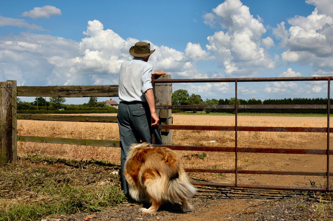 SEC’s “Climate-related disclosures” would put farmers and ranchers in regulatory cross-hairs