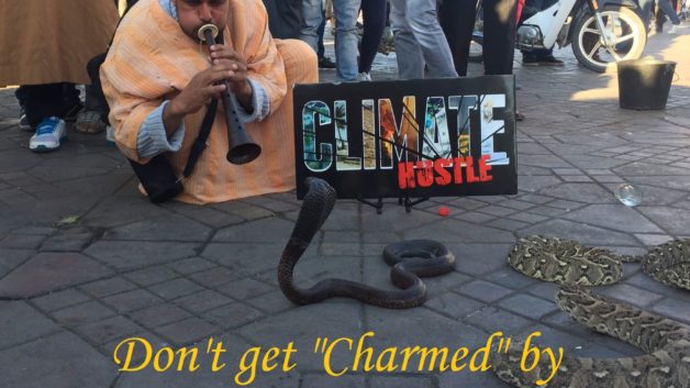 https://www.cfact.org/wp-content/uploads/2016/11/Snake-Charmer-CH-628x353.jpg