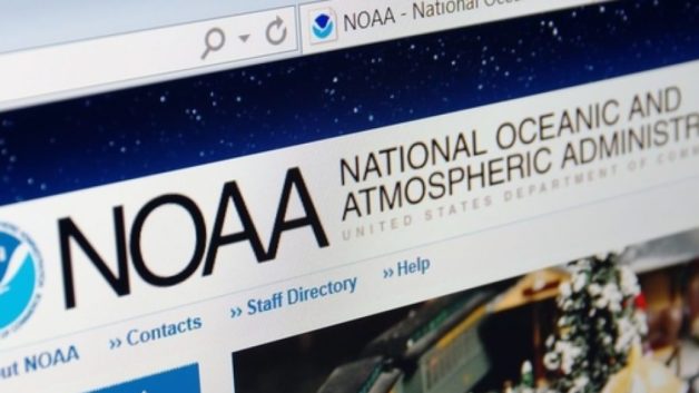 https://www.cfact.org/wp-content/uploads/2017/02/NOAA-header-628x353.jpg