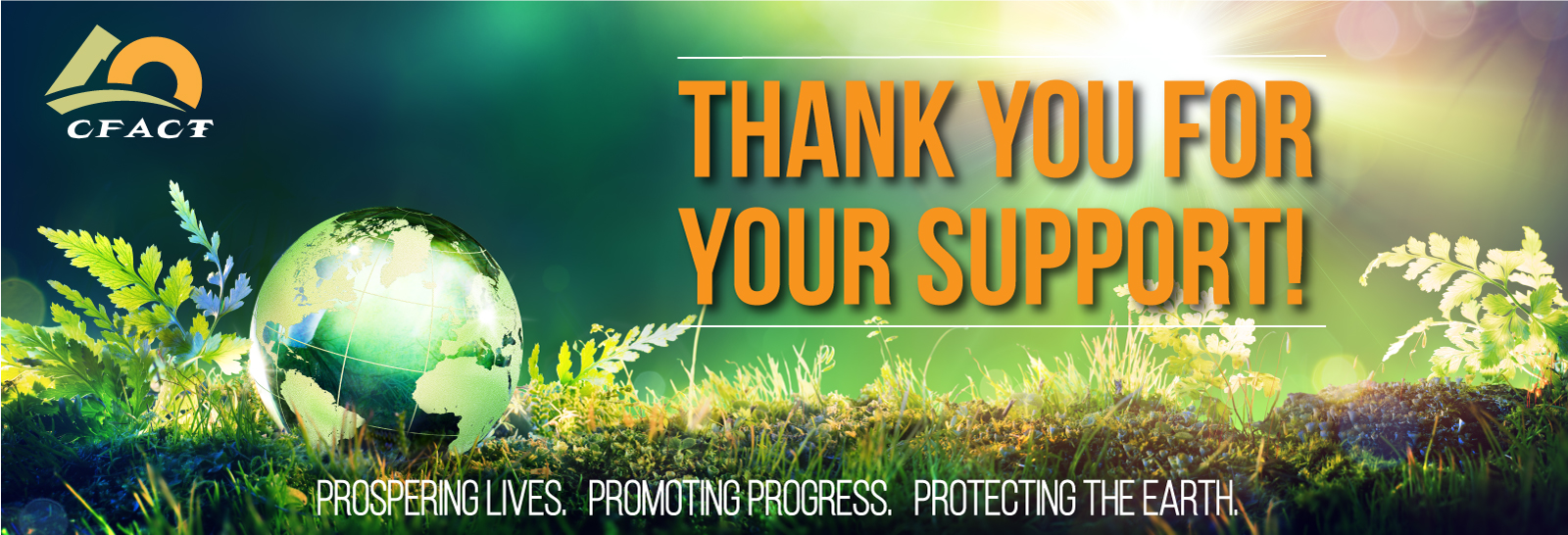 International Giving