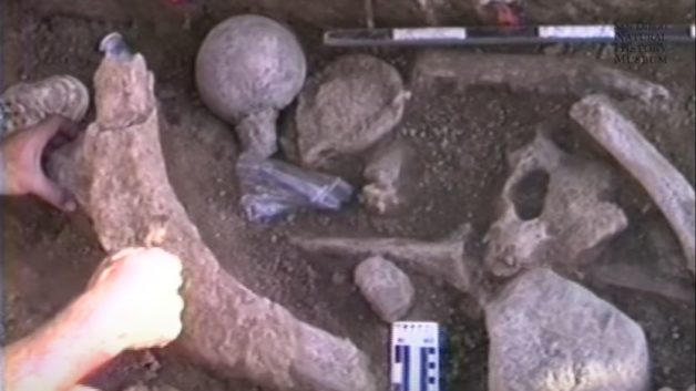 https://www.cfact.org/wp-content/uploads/2017/05/Mastodon-excavation-628x353.jpg