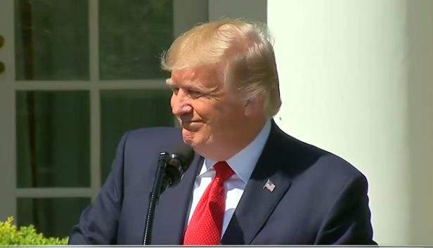 https://www.cfact.org/wp-content/uploads/2017/06/Trump-Rose-Garden-616x353.jpg
