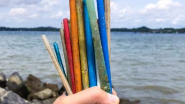 https://www.cfact.org/wp-content/uploads/2018/04/Plastic-straws-628x353.jpg