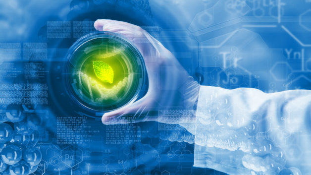 https://www.cfact.org/wp-content/uploads/2018/05/Science-hand-green-628x353.jpg