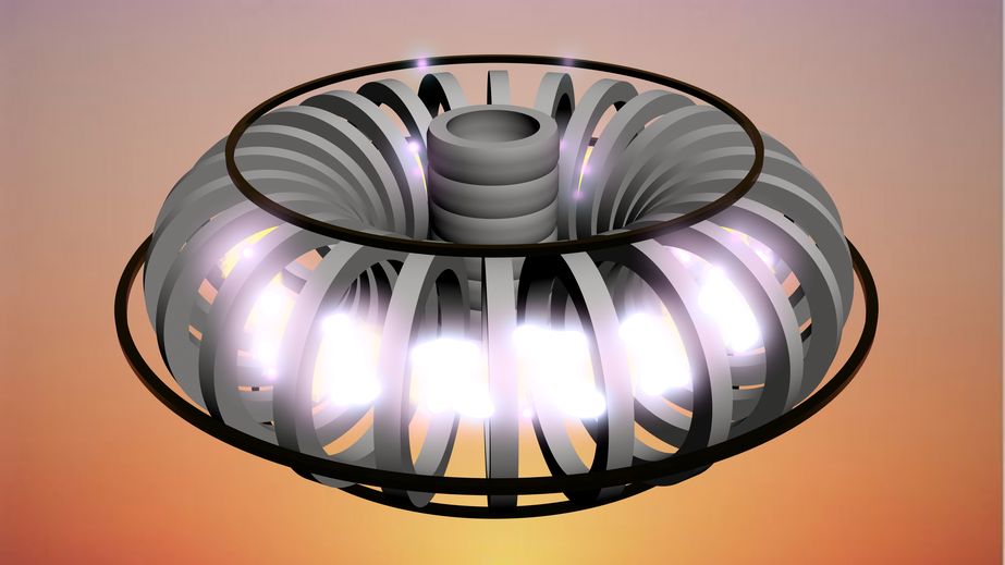 Harnessing the power of the stars -- Could fusion power the future?