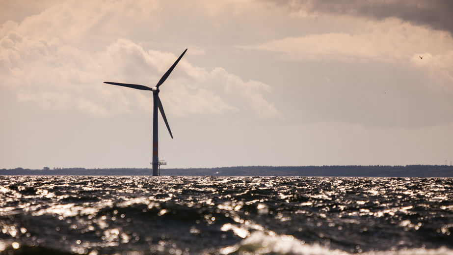 The frightful cost of Virginia offshore wind