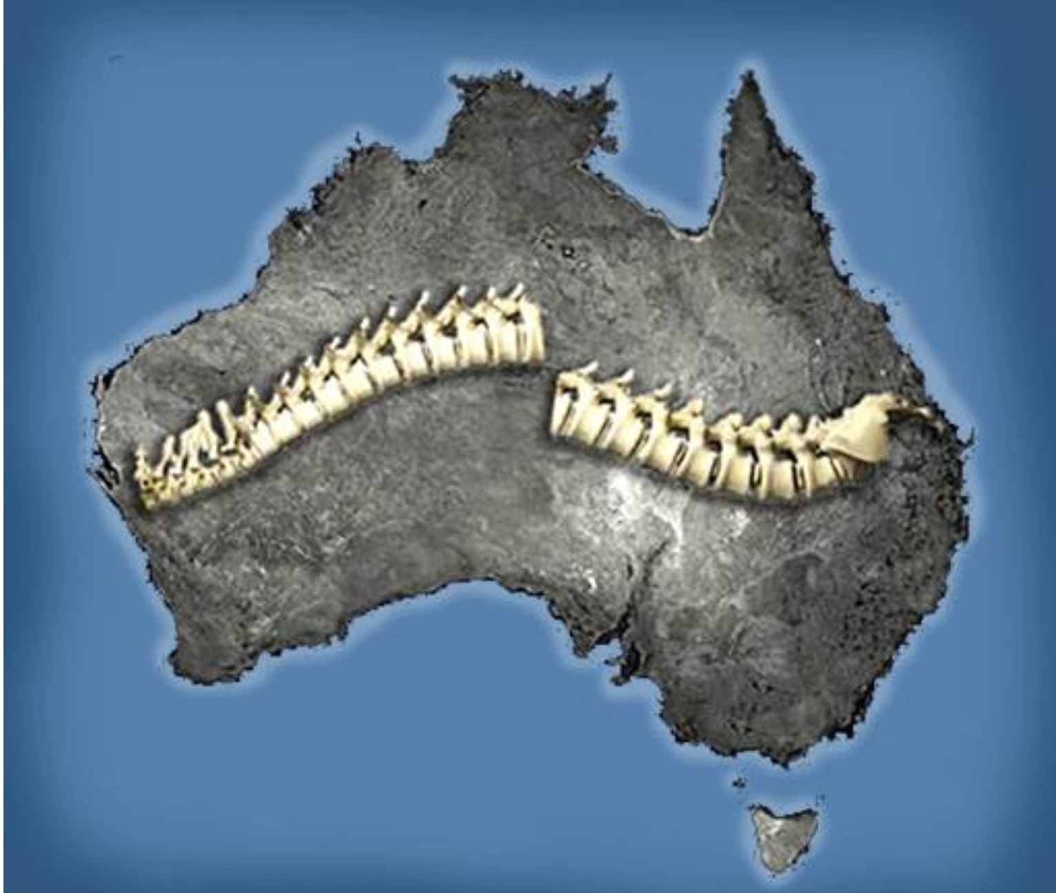 How to break Australia's backbone