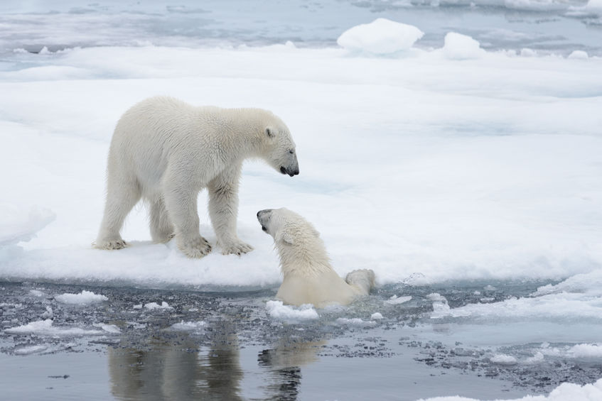 The ice melt myth