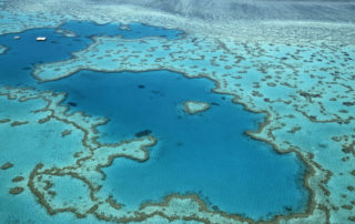 Coral reef health defies climate alarmists