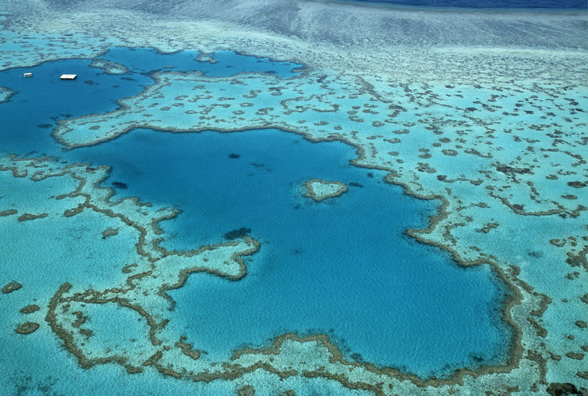 Coral reef health defies climate alarmists
