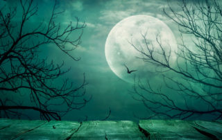 Going Green worldwide will be a greater challenge than going to the Moon 1