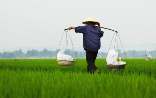 BBC caught spreading lies about climate change, Vietnam crop production