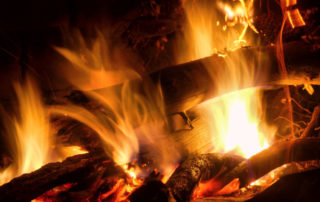 The biomass scam: Should Africans really burn more trees?