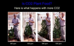 CO2 has its benefits