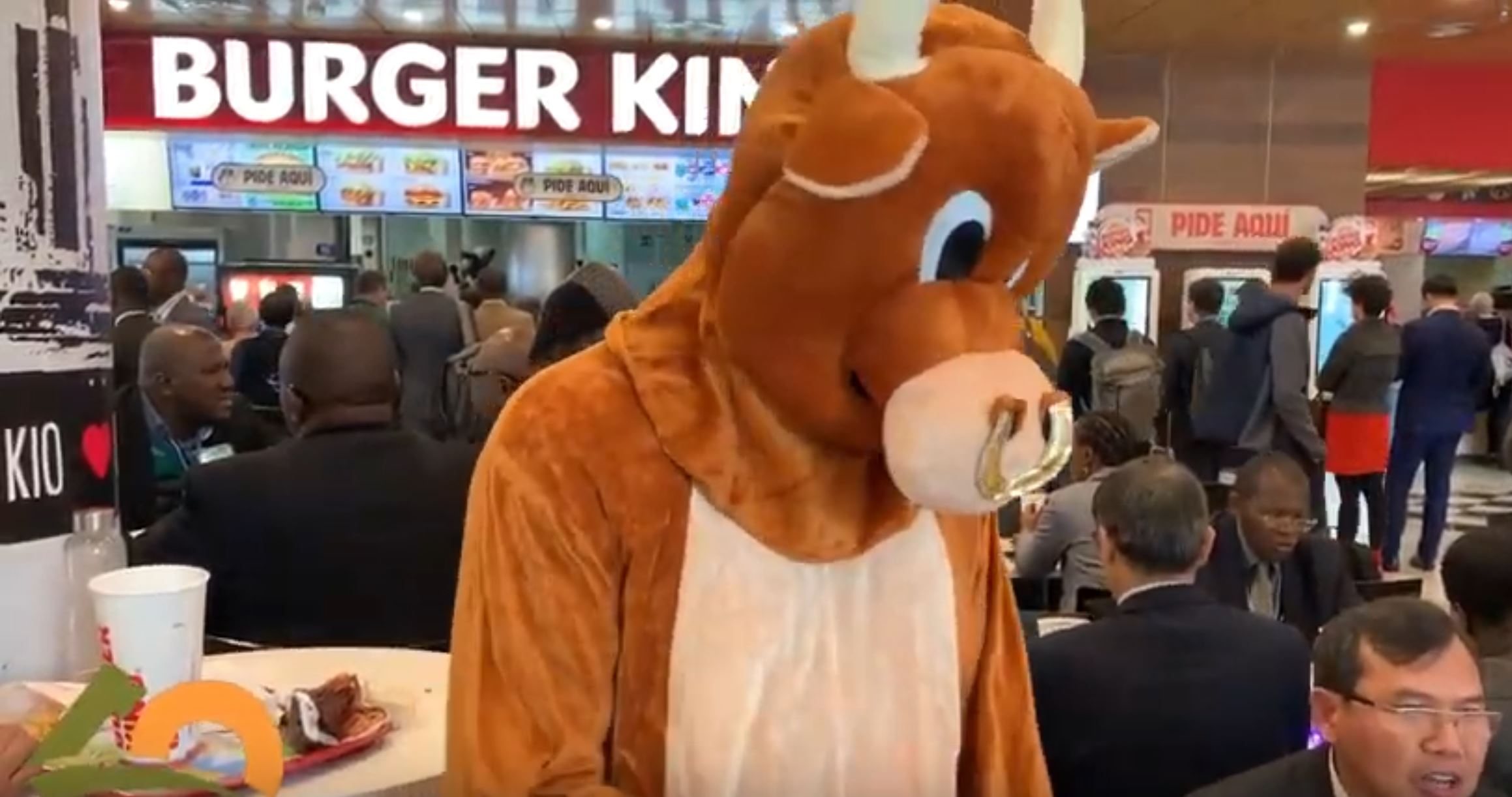UN bureaucrats chow down on burgers while attacking meat 2