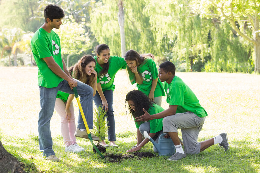 Appeasement backfires as climate campaigners attack planting trees