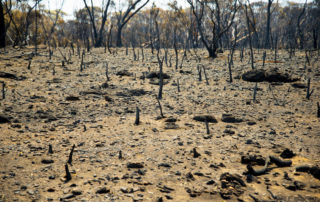 Australia has been hotter, fires have burnt larger areas