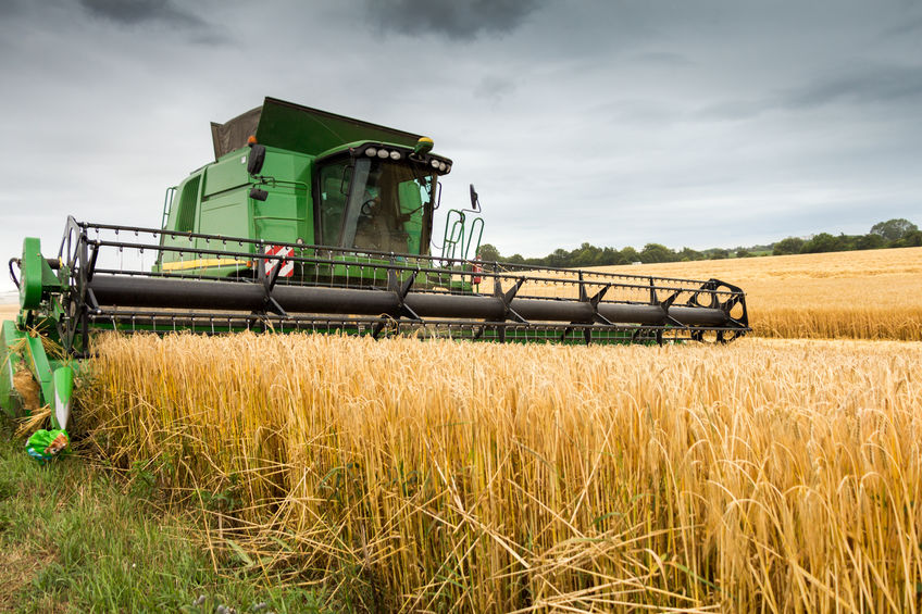 Waking up on climate change: Farm yields keep shattering records