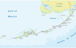 Can Key Largo Woodrat win game of cat and mouse?