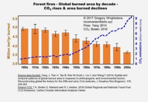 Forest fires on the decline: Believe it 2