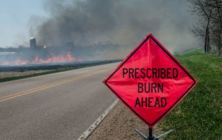 Prescribed burns, thinning helps forests tackle wildfires