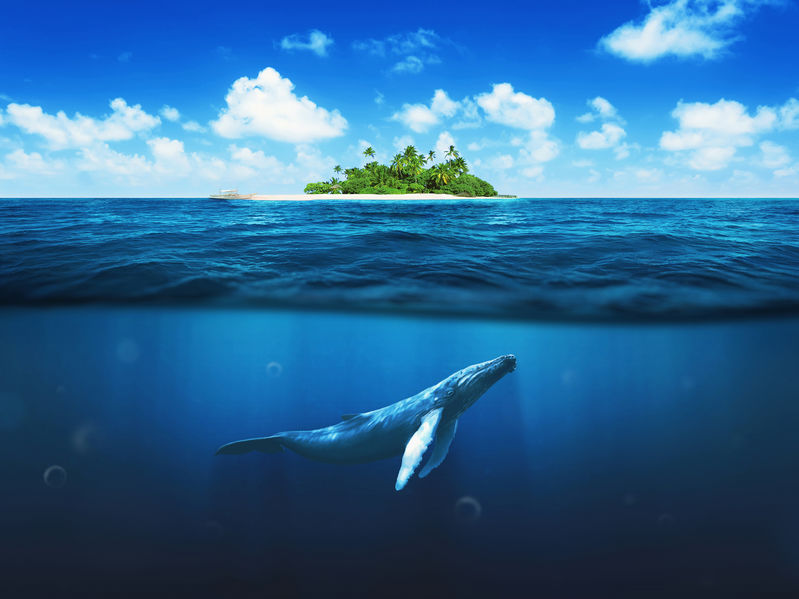 CFACT: Technology to enable private conservation of oceans?