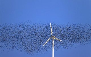 Wind and solar weaknesses -- Part I 1