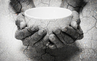 Ending U.S. and African protein shortages