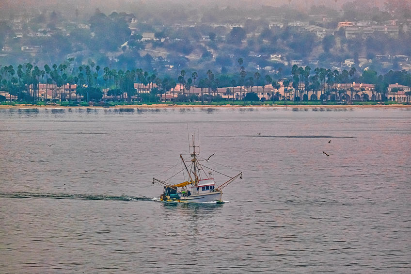 California lawmakers sending fishermen to ruin