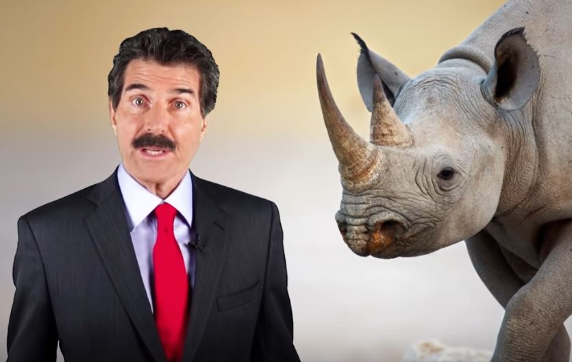How freedom helps rhinos