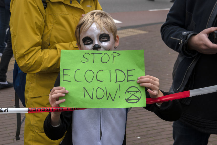 “Ecocide” may be another $hakedown of the U.S.A.