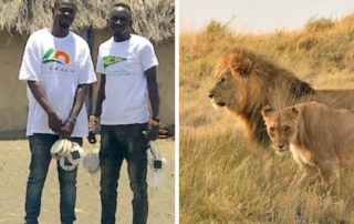 CFACT's lion conservation project continues to grow brighter