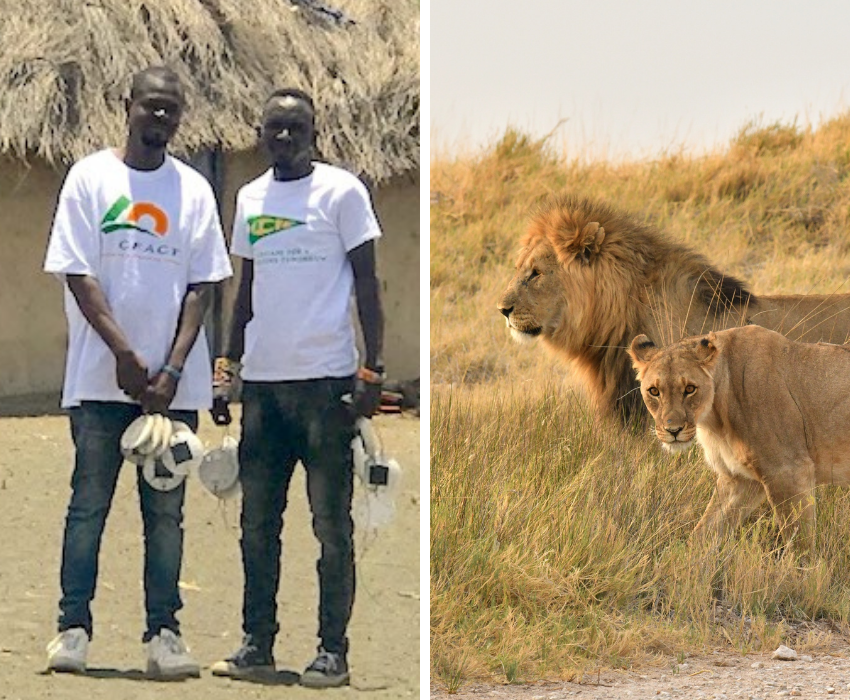 CFACT's lion conservation project continues to grow brighter