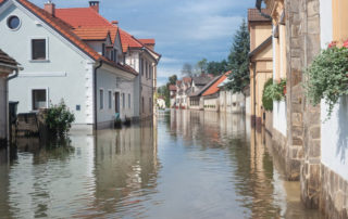 The Greens threaten us with floods but fail to protect against them  