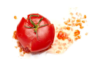 To-may-to, To-mah-to: turning tomatoes into bioplastics