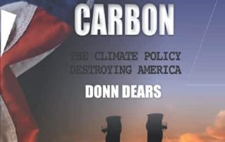 Net-zero Carbon: Another great compact book by Donn Dears