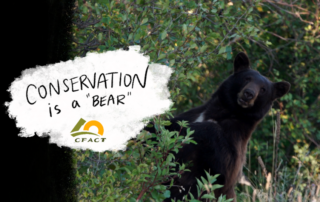 Conservation is a "Bear!" Watch new Conservation Nation episode