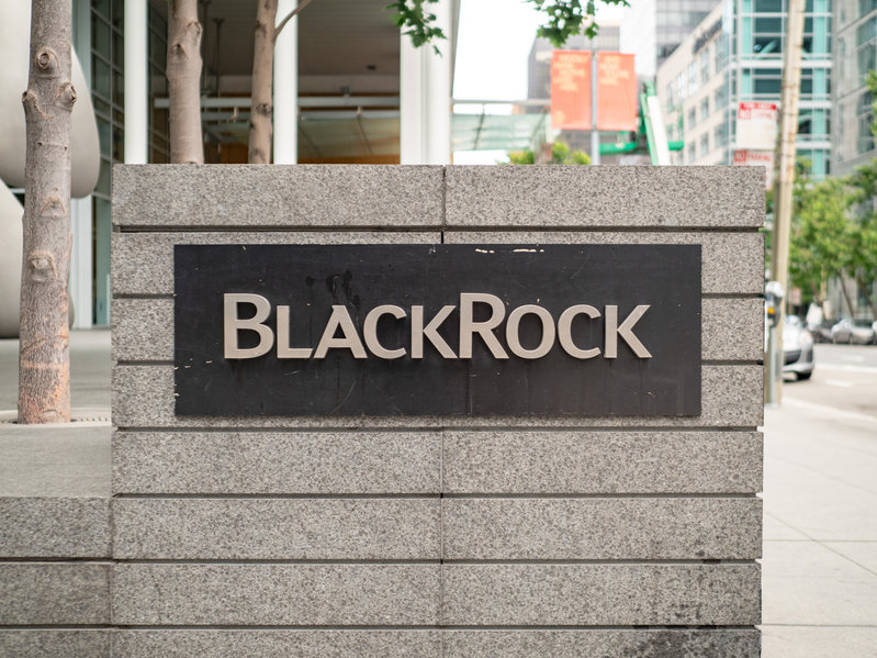 BlackRock CEO Larry Fink responds to CFACT question at shareholders meeting