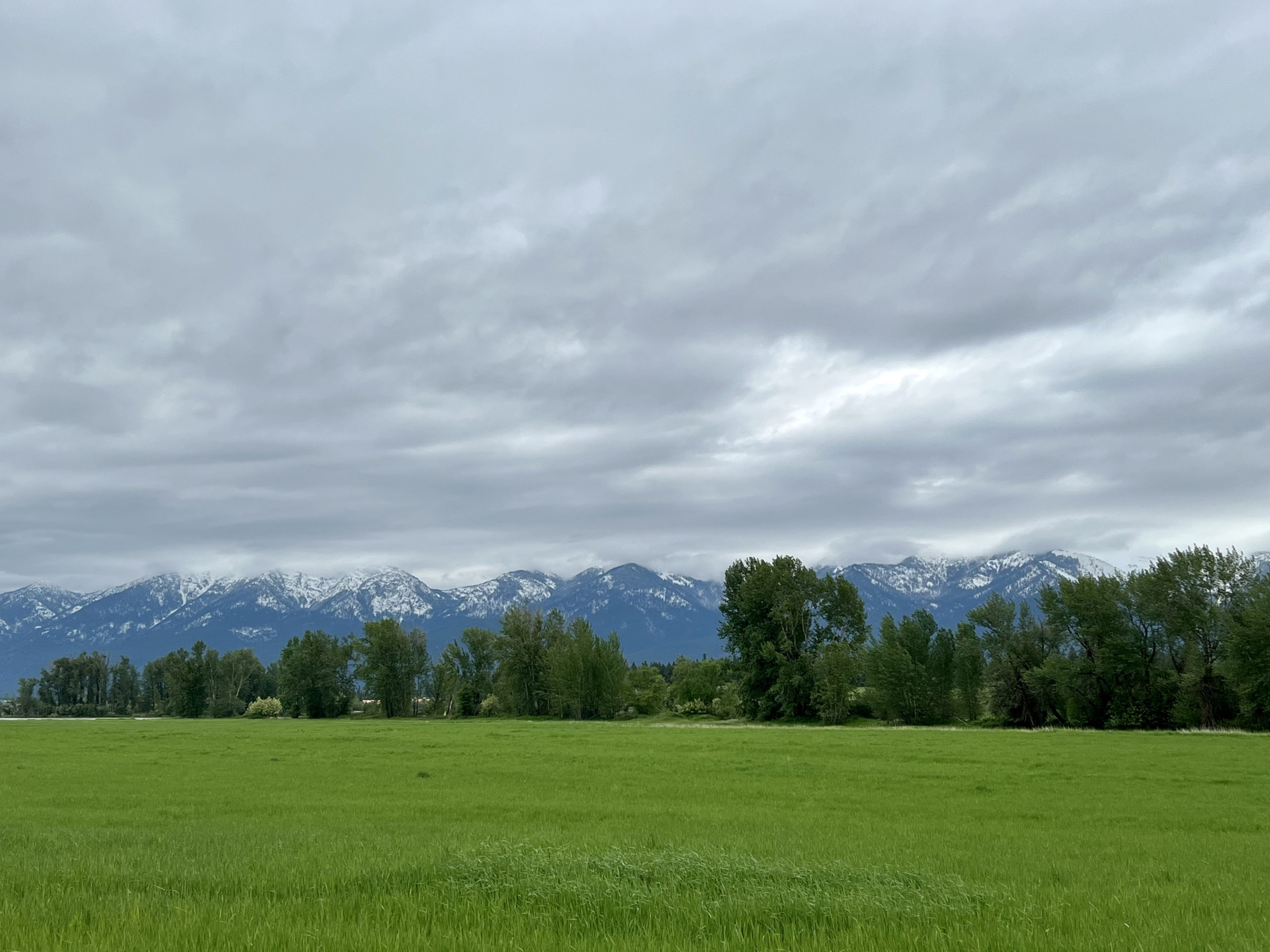 Discovering Kalispell and how to help Montana flood relief 1